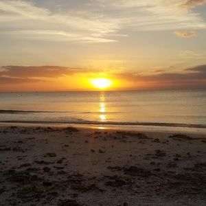 Meet your Posher, Korisa